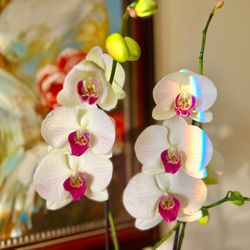 Armstrong Garden Centers - #Yelp #YelpElite #garden