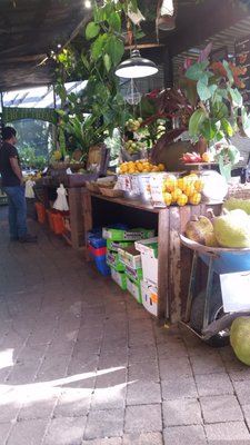 Tropical Fruit World by null