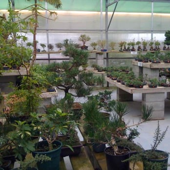 JAPAN BONSAI GARDEN ART - CLOSED - Updated November 2025 - 16172