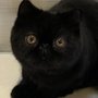 Photo of Three Hearts Veterinary Hospital