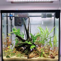 CTE Aquatics