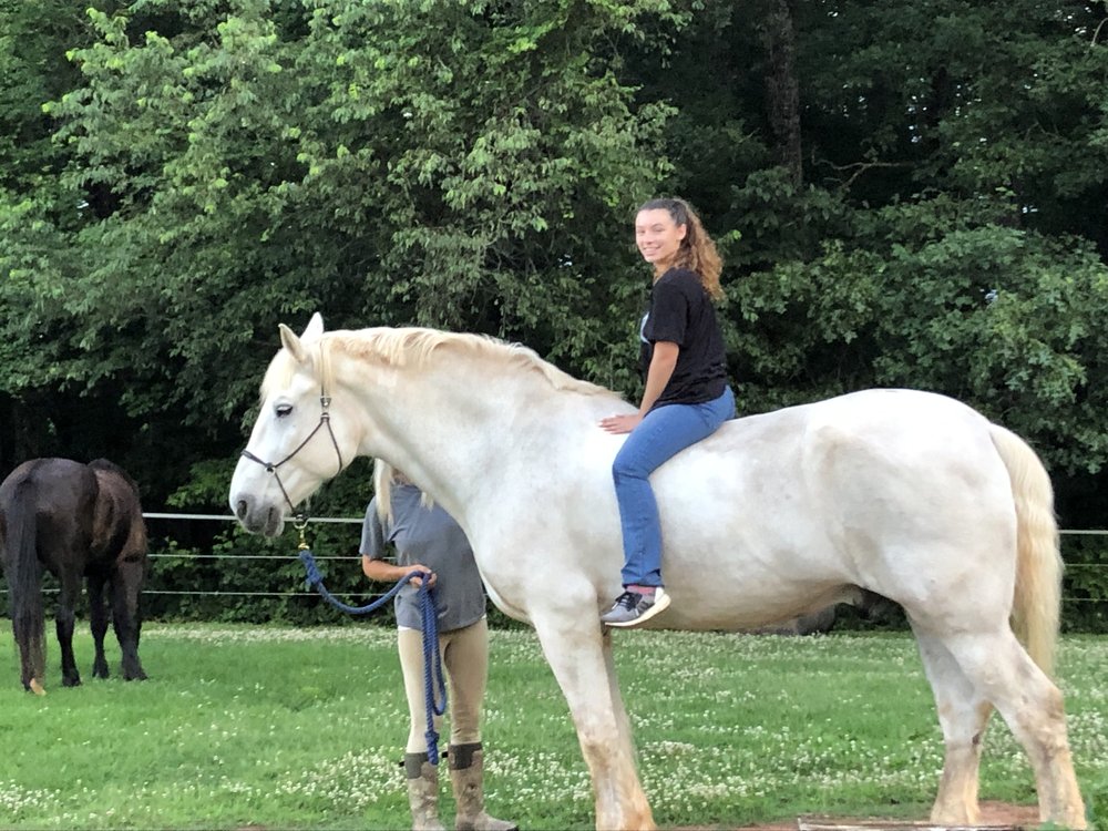 SUMMERFIELD FARM AND DRAFT HORSES Updated October 2024 East Bend, North Carolina Horseback