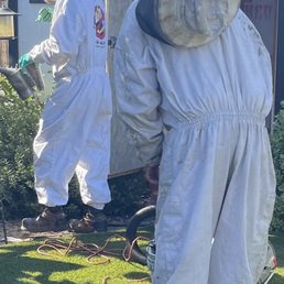 Bee Busters Serve All of Orange County Area! Bee Busters Serve All of Orange County Area!