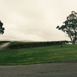 Nepenthe Wines