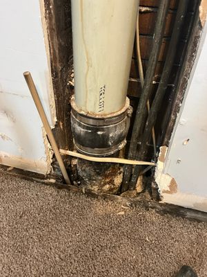 Sewer & Drain Specialists