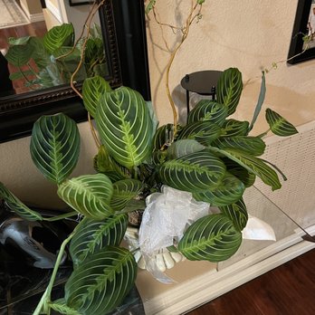 Finicky Flowers - Florists Near Me - Murrieta, California Finicky Flowers - Florists Near Me - Murrieta, California