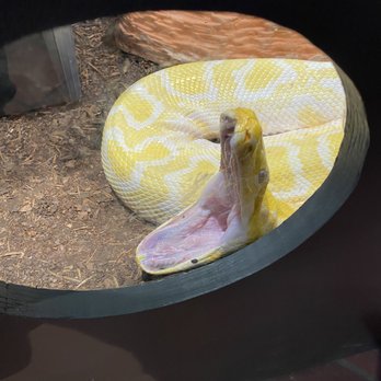 Oslo Reptilpark - Pets Near Me - Oslo, 03