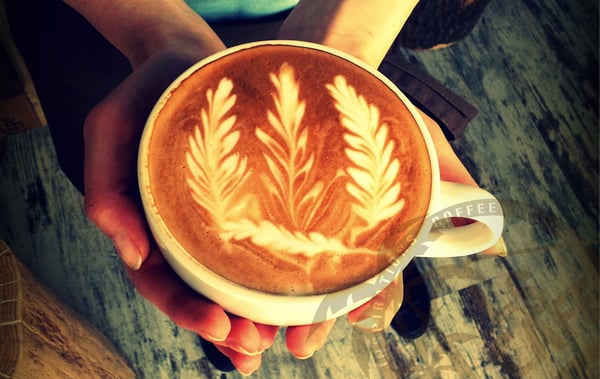 Fussy Fellas Coffee Roastery by null