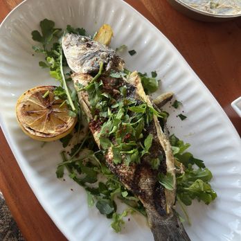 Troya Mediterranean Tiburon - Mediterranean Branzino - Mediterranean Near Me - Tiburon, California Troya Mediterranean Tiburon - Mediterranean Branzino - Mediterranean Near Me - Tiburon, California