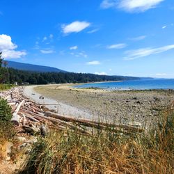 Roberts Creek Regional Park - Roberts Creek