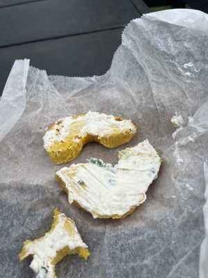 Auburn Bagel Company by null