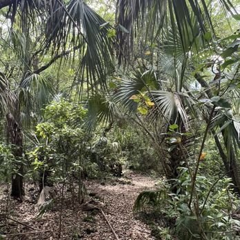 Van Smith Park - Parks Near Me - South Miami, Florida