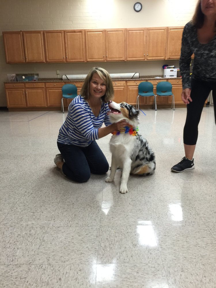 PAWSITIVE PUP DOG TRAINING Updated August 2024 Camarillo