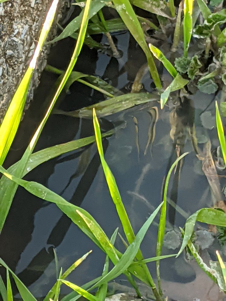 ECHO VALLEY ESTATES 323 Echo Valley Dr, Shavertown, Pennsylvania Yelp