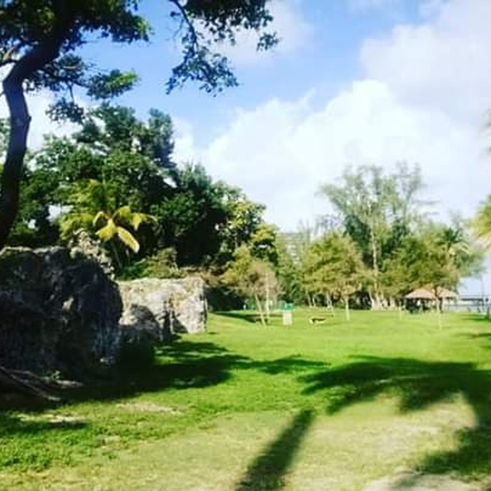 Alice C. Wainwright Park - Beautiful park - Parks Near Me - Miami, Florida