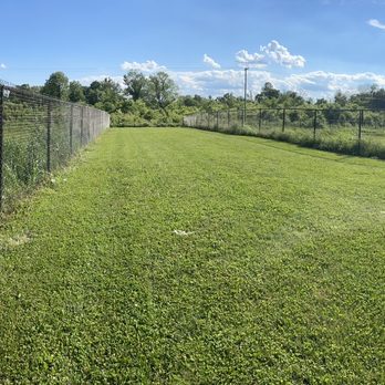 Walmart Supercenter - Fenced-in field: why? What's in there? - Department Stores Near Me - Shepherdsville, Kentucky Walmart Supercenter - Fenced-in field: why? What's in there? - Department Stores Near Me - Shepherdsville, Kentucky