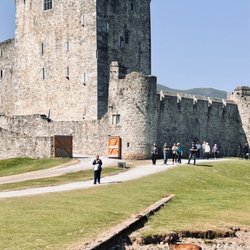 Ross Castle - Red deer in front of castle.