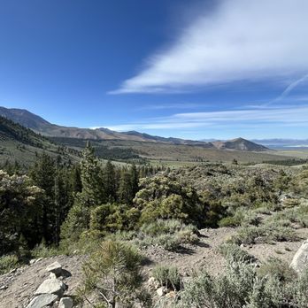 Parker Lake Trail - Hiking Near Me - June Lake, California