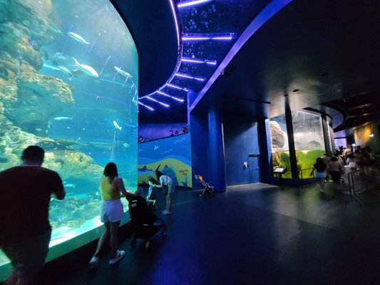 Singapore Oceanarium by null