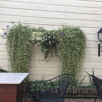 Spread Eagle Tavern & Inn - Patio decorations - New American Near Me - Hanoverton, Ohio
