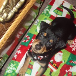 my little brady boy