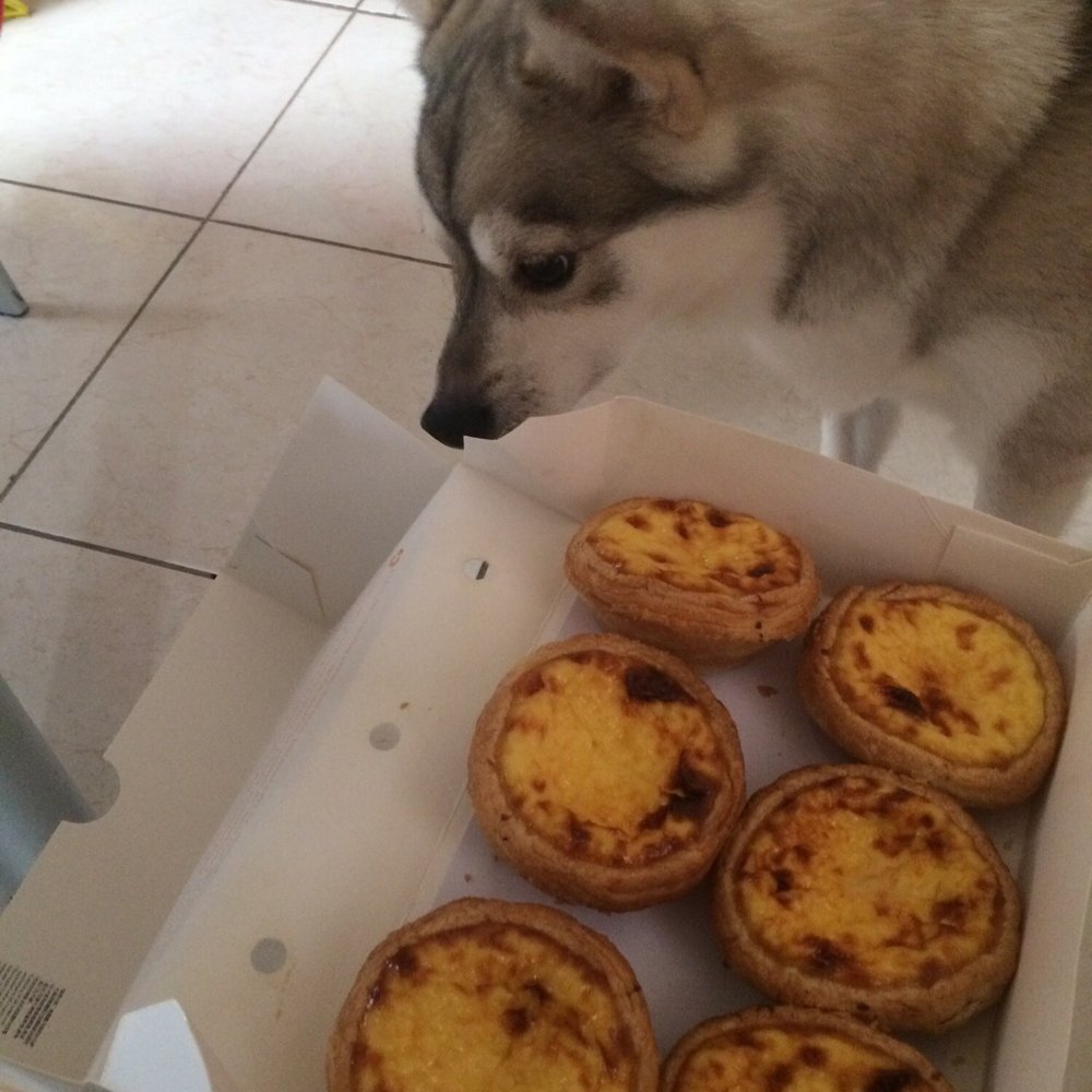 Lily Bloom Bakery - Portuguese egg tarts. Ig: @morecheeseplss - Bakeries Near Me - Brooklyn, New York
