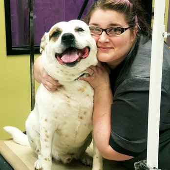 Send Rover Over Pet Salon - My 13yo special needs dog getting the VIP treatment 3 - Pet Groomers Near Me - Eugene, Oregon Send Rover Over Pet Salon - My 13yo special needs dog getting the VIP treatment 3 - Pet Groomers Near Me - Eugene, Oregon