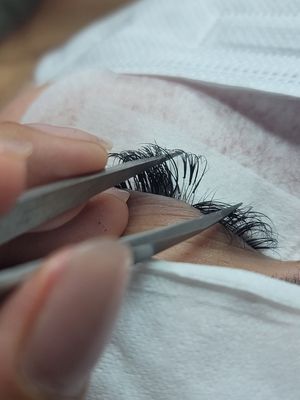 Virtue Lash by null