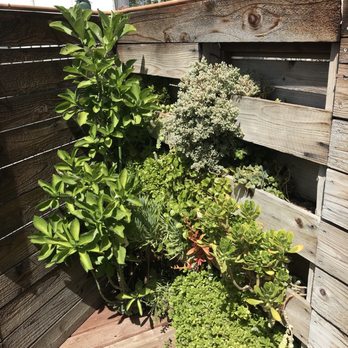 Seventeen Cafe - Succulents! - Cafes Near Me - Sun Valley, California
