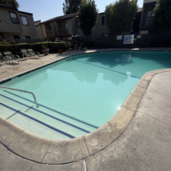 Spring Tree Apartments - This is the very taken care of pool - Apartments Near Me - Chino, California Spring Tree Apartments - This is the very taken care of pool - Apartments Near Me - Chino, California