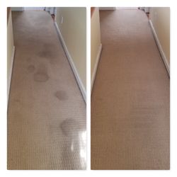 Carpet Cleaning in a client's home.