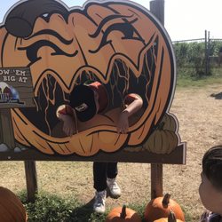 Orr Family Farm - By the corn maze