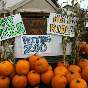 Velvet Acres Gardens - Pumpkin Patch Fun!!! - Fruits & Veggies Near Me - Vancouver, Washington Velvet Acres Gardens - Pumpkin Patch Fun!!! - Fruits & Veggies Near Me - Vancouver, Washington