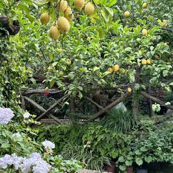 I Giardini di Cataldo