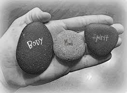 Monarch Wellness - grief counselor in Naples, FL