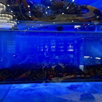 Pearl Bay Manor - Seafood Tanks - Dim Sum Near Me - Dublin, California