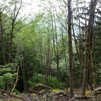 Mt Washington Trail - Hiking Near Me - North Bend, Washington
