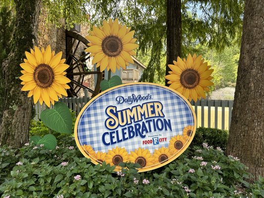 Dollywood's Splash Country by null