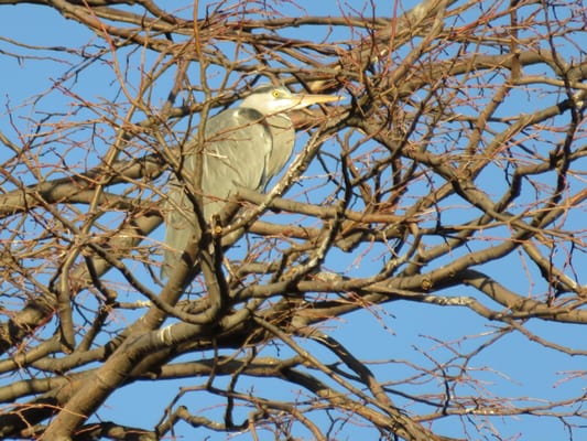 Parc Borély by null