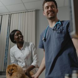 Lantana-Atlantis Animal Hospital