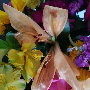 Conroy's Flowers - Encino - On Day 5 - Florists Near Me - Encino, California Conroy's Flowers - Encino - On Day 5 - Florists Near Me - Encino, California