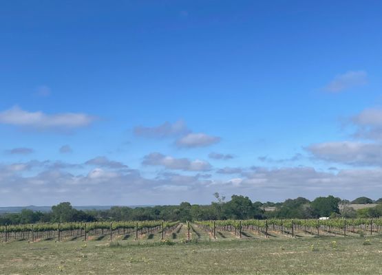 K Estate Vineyards by null K Estate Vineyards by null