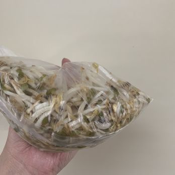 Pho Hiep Hoa - Was given rotten bean sprouts with my to go order of pho - Vietnamese Near Me - Silver Spring, Maryland Pho Hiep Hoa - Was given rotten bean sprouts with my to go order of pho - Vietnamese Near Me - Silver Spring, Maryland