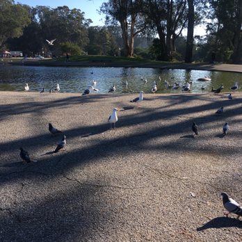 Spreckels Lake - My my my my - Lakes Near Me - San Francisco, California Spreckels Lake - My my my my - Lakes Near Me - San Francisco, California