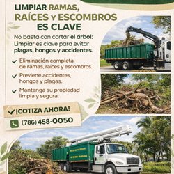Father and Son Tree Service - Estimados Gratis/Free Estimates
