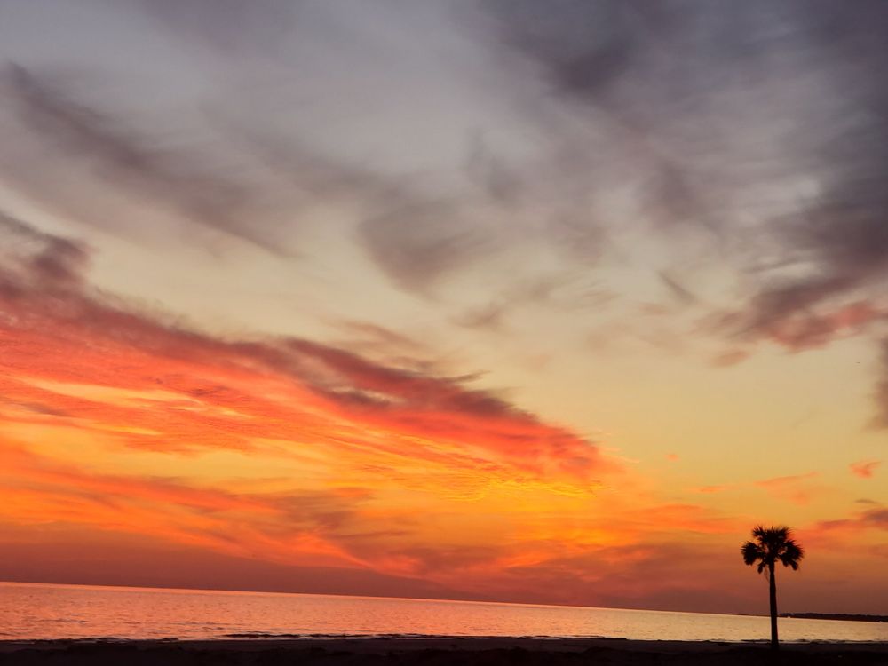 PATRICK PROPERTY MANAGEMENT Updated August 2024 Request Consultation 33 Photos 200B Reid