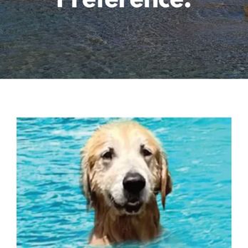 Blue Water Excursions - Reserve first mate Bentley on your next trip - Boat Charters Near Me Blue Water Excursions - Reserve first mate Bentley on your next trip - Boat Charters Near Me