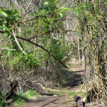 Mount Moses - Hiking Near Me - Staten Island, New York