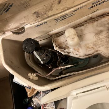 Tropicana Laughlin - A Caesars Rewards Destination - Toilet wouldn't flush so I removed the lid and found so much mold I've been sick since my two night stay! - Hotels Near Me - Laughlin, Nevada Tropicana Laughlin - A Caesars Rewards Destination - Toilet wouldn't flush so I removed the lid and found so much mold I've been sick since my two night stay! - Hotels Near Me - Laughlin, Nevada
