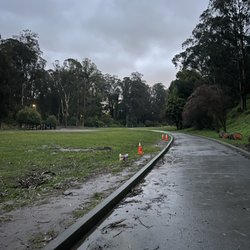Stern Grove Dog Park - The only ones here 3.9.23